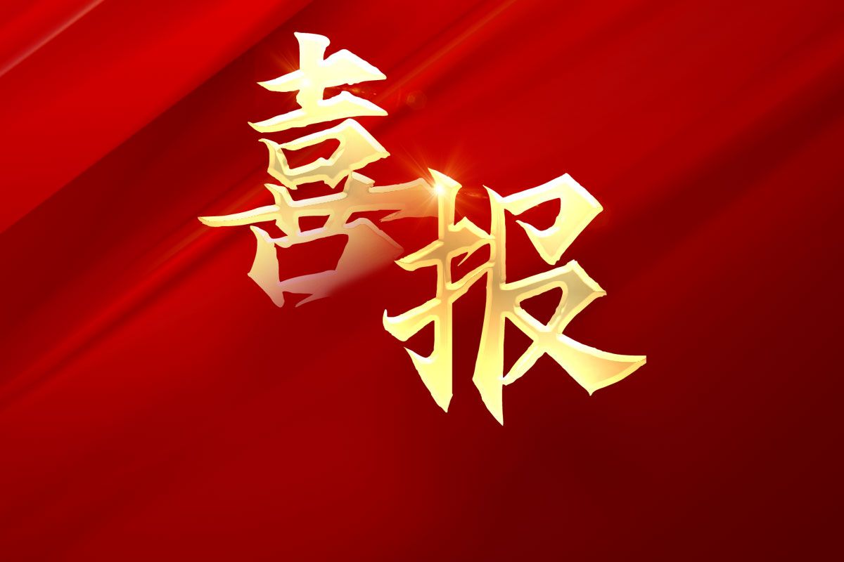 森赫電梯連續(xù)8年榮膺“全國政府采購電梯十佳供應商”